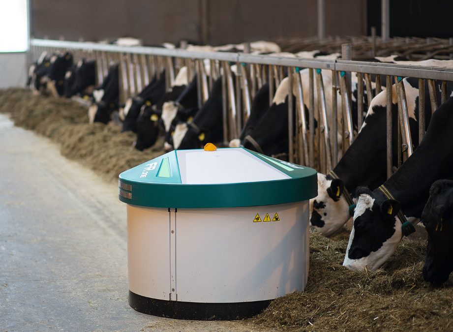 sistema-de-alimentacion-automatizada-para-vacas